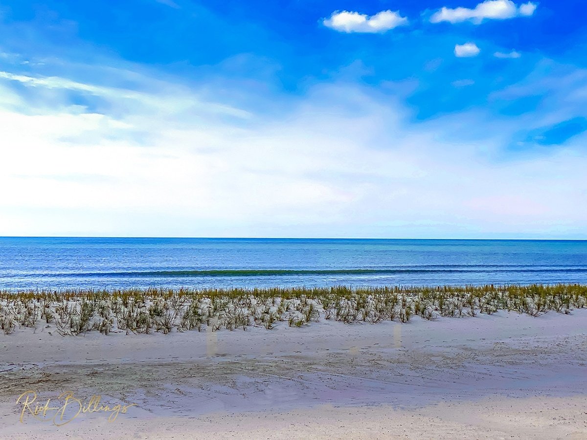 1172 Gulf Coast Mississippi
