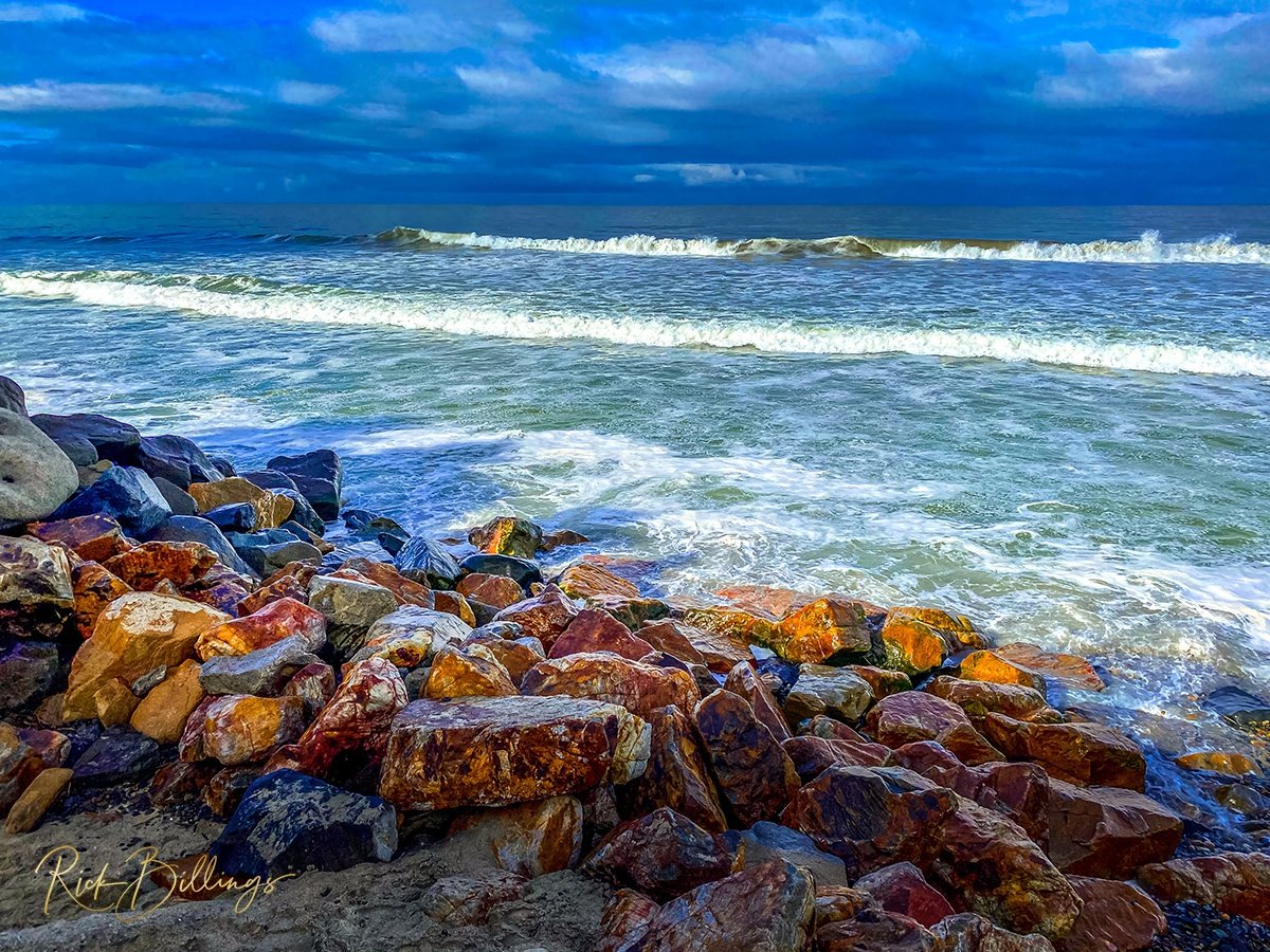 1195 Carlsbad California