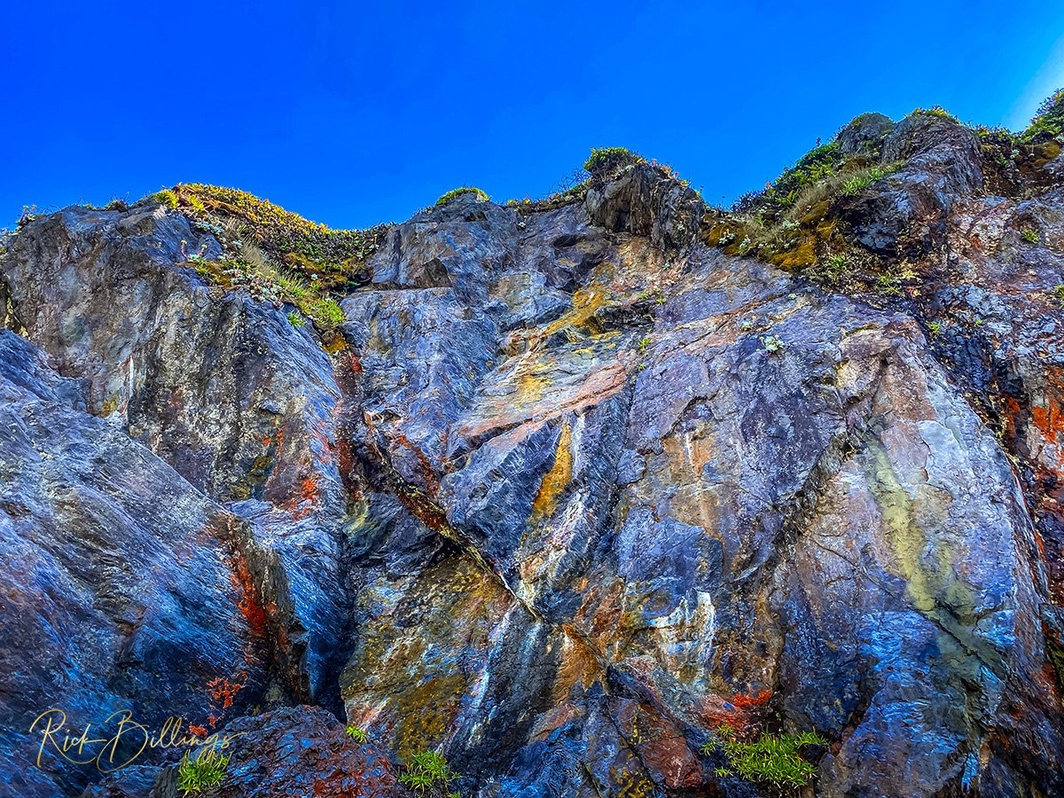 1234 Humboldt Lagoon State Park California