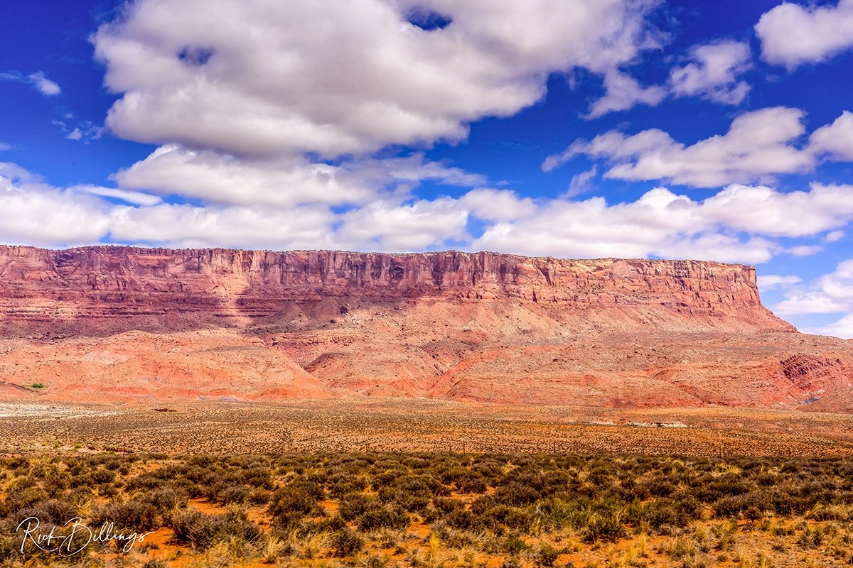 1261 Page Arizona