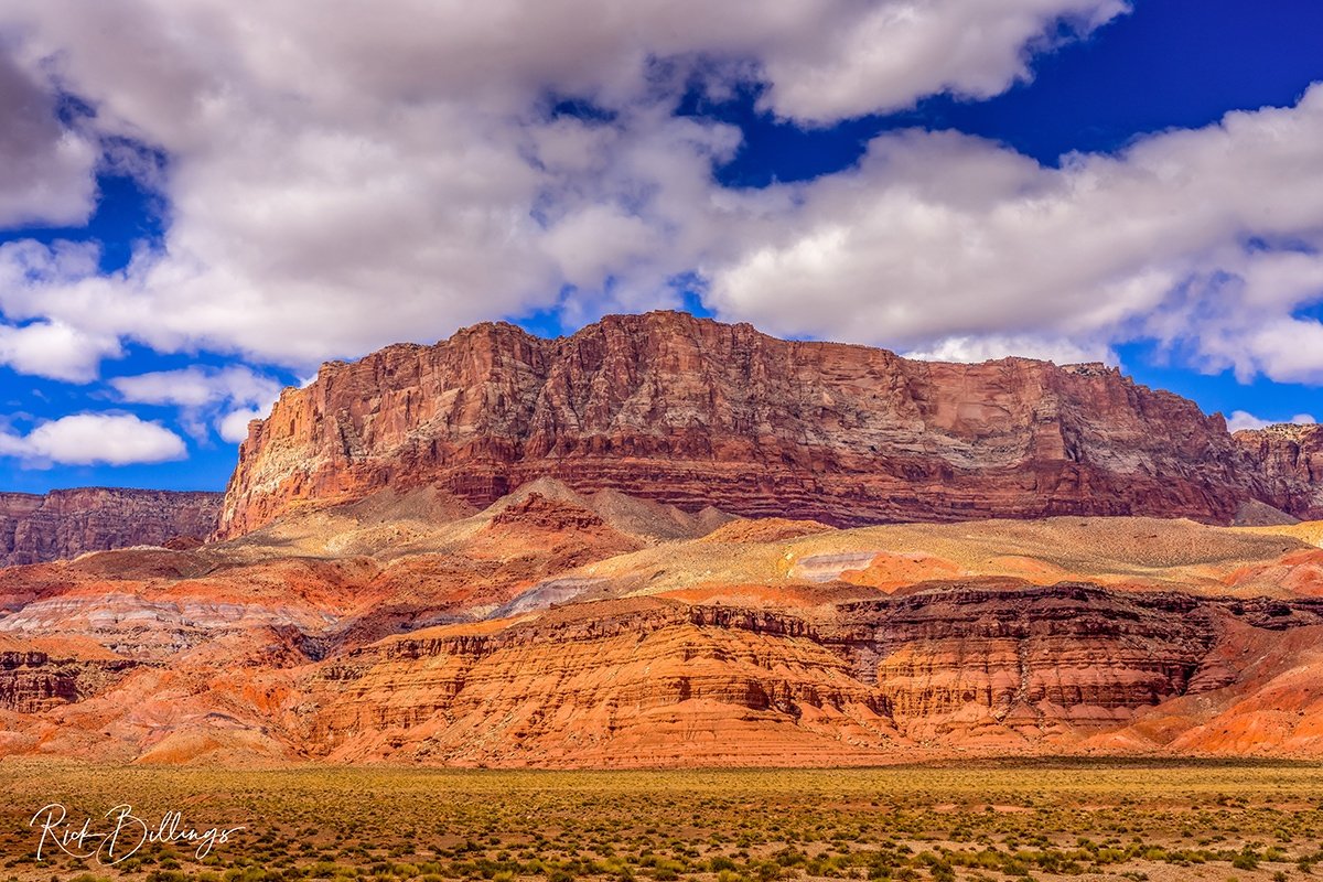 1263 Page Arizona