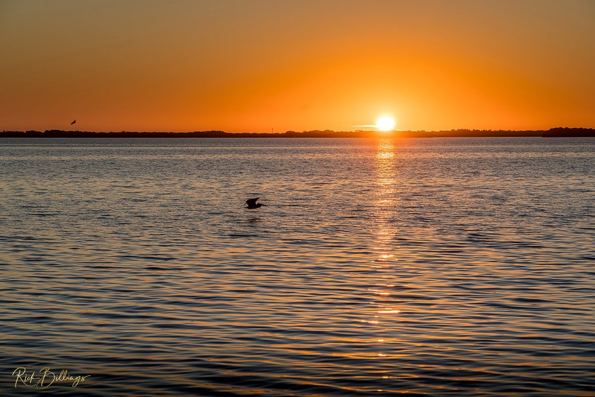 1347 Sunset Flight Tampa Bay