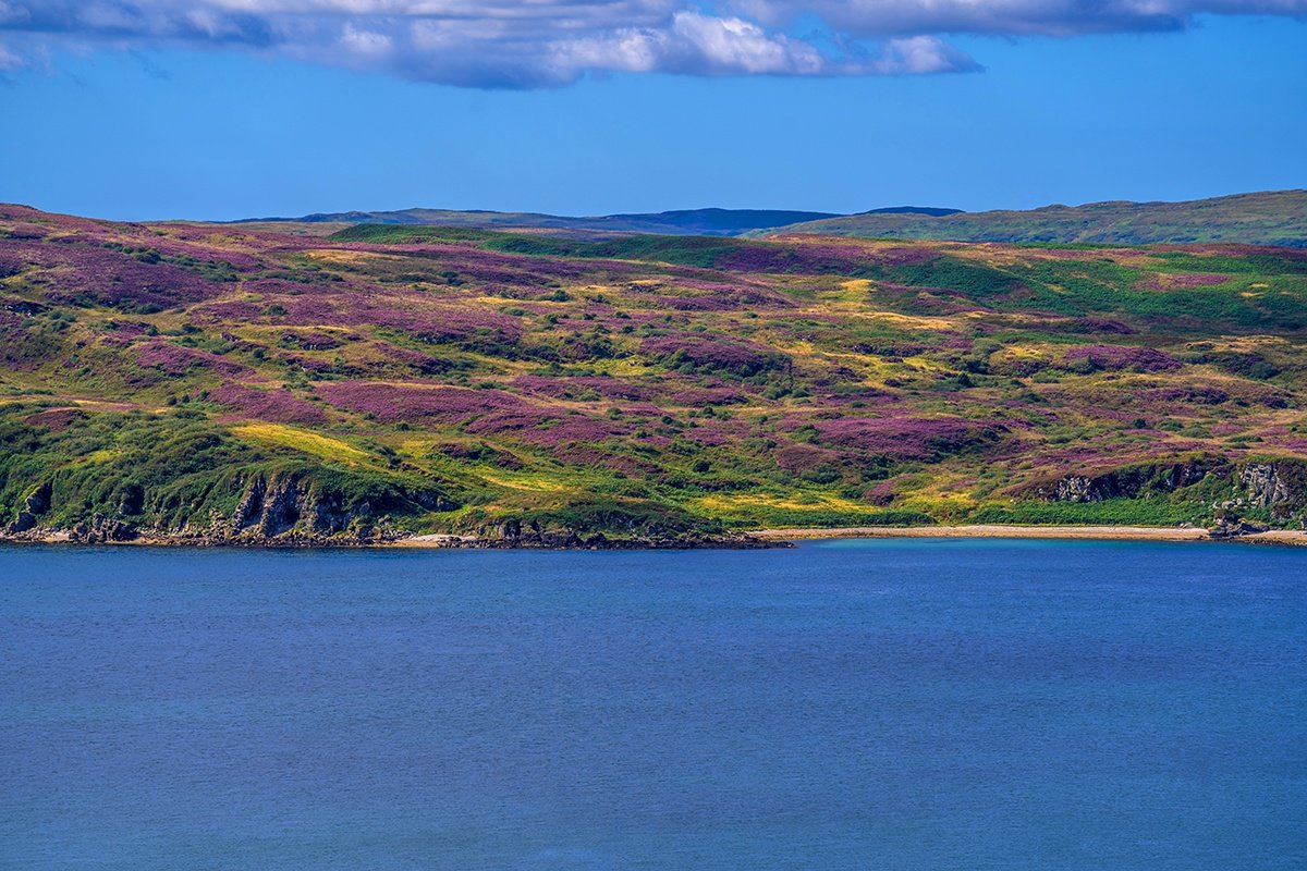 1441 Jura Scotland