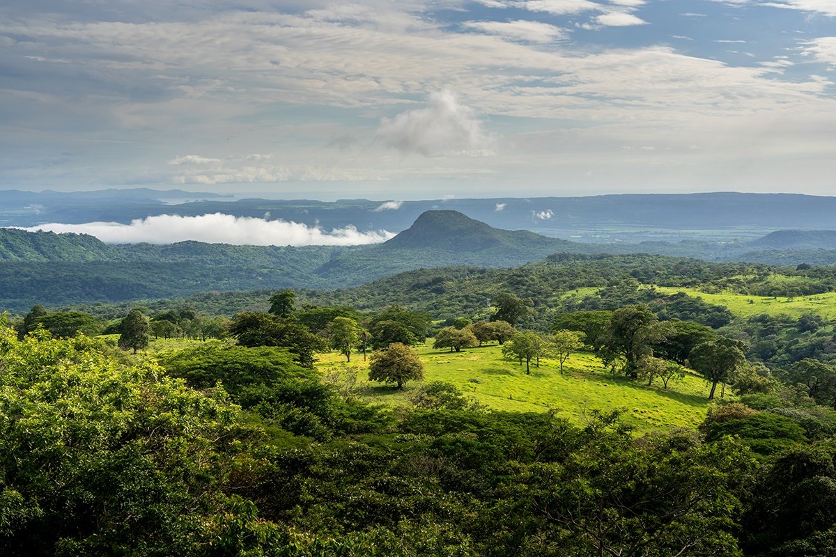 1500 Costa Rica Plains