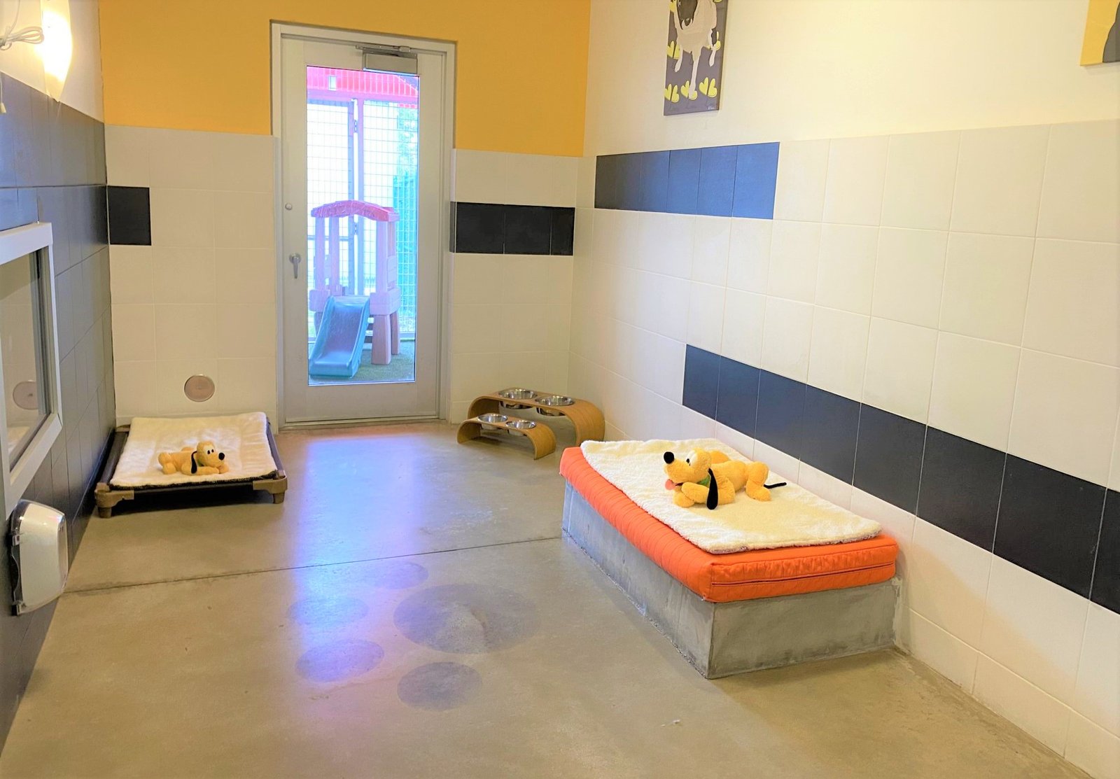 dog-boarding-overnight-care-disney-fl-florida-lake-buena-vista-4-1